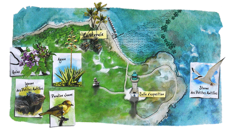 Carte découverte terrestre de Petite Terre Carte découverte Petite Terre