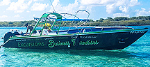 Bateau Business Paradise