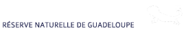 logo petite terre