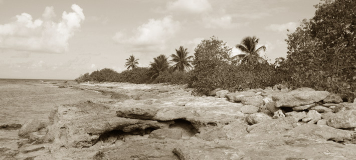 Plage avec Beach-rocks sur Terre de Bas