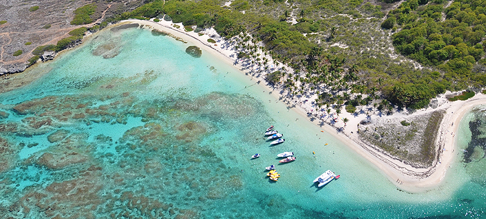 Plage cocoteraie