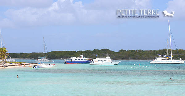 visite petite terre catamaran